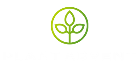 Plant Advent